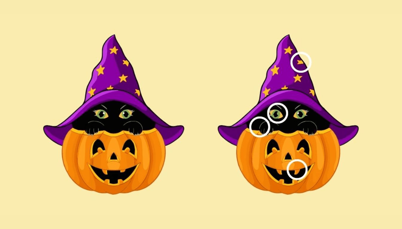 Can you spot 4 differences in 20 seconds? This black cat nestled in a pumpkin challenges even the sharpest minds!